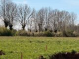 Terrain à Thérondels  Maisons Partout