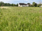 Terrain à Prudhomat  Maisons Partout