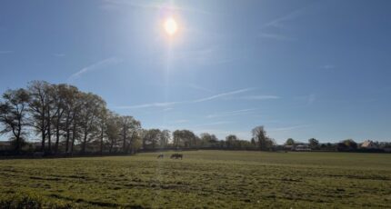 Ytrac Terrain à bâtir -  Maisons Partout