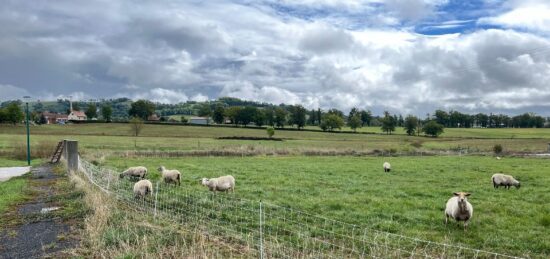 Maison neuve à Naucelles, Auvergne-Rhône-Alpes