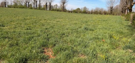 Terrain à bâtir à Thérondels, Occitanie