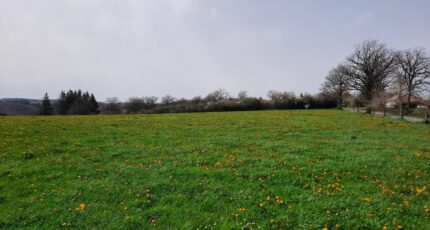 Roannes-Saint-Mary Terrain à bâtir -  Maisons Partout
