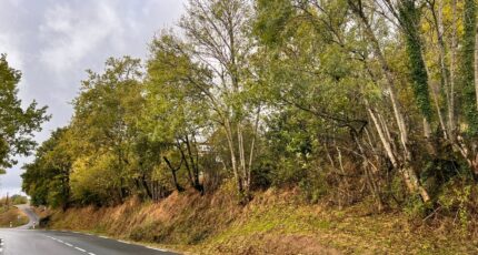 Sansac-de-Marmiesse Terrain à bâtir -  Maisons Partout