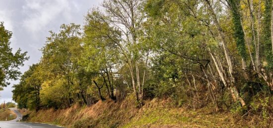 Terrain à bâtir à , Cantal
