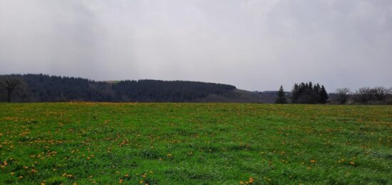 Terrain à bâtir à , Cantal