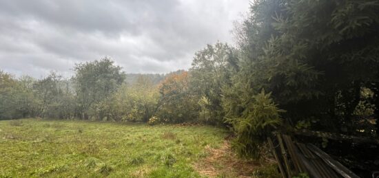 Terrain à bâtir à Sansac-de-Marmiesse, Auvergne-Rhône-Alpes