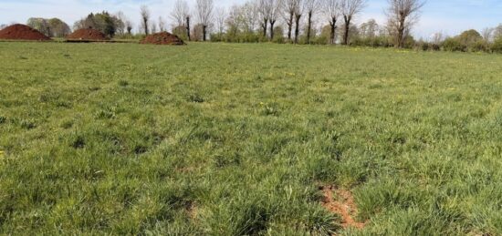 Terrain à bâtir à Thérondels, Occitanie