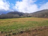 Terrain à bâtir à Loubressac (46130) 2629431-6976annonce220250227KenKM.jpeg Maisons Partout