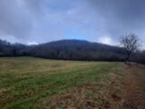 Terrain à bâtir à Loubressac (46130) 2629438-6976annonce220250227cNeum.jpeg Maisons Partout