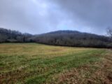 Terrain à bâtir à Loubressac (46130) 2629440-6976annonce1202502278EmeW.jpeg Maisons Partout